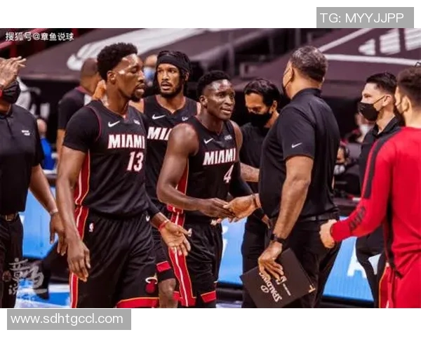 火箭队与热火队精彩对决视频回放全程回顾与分析